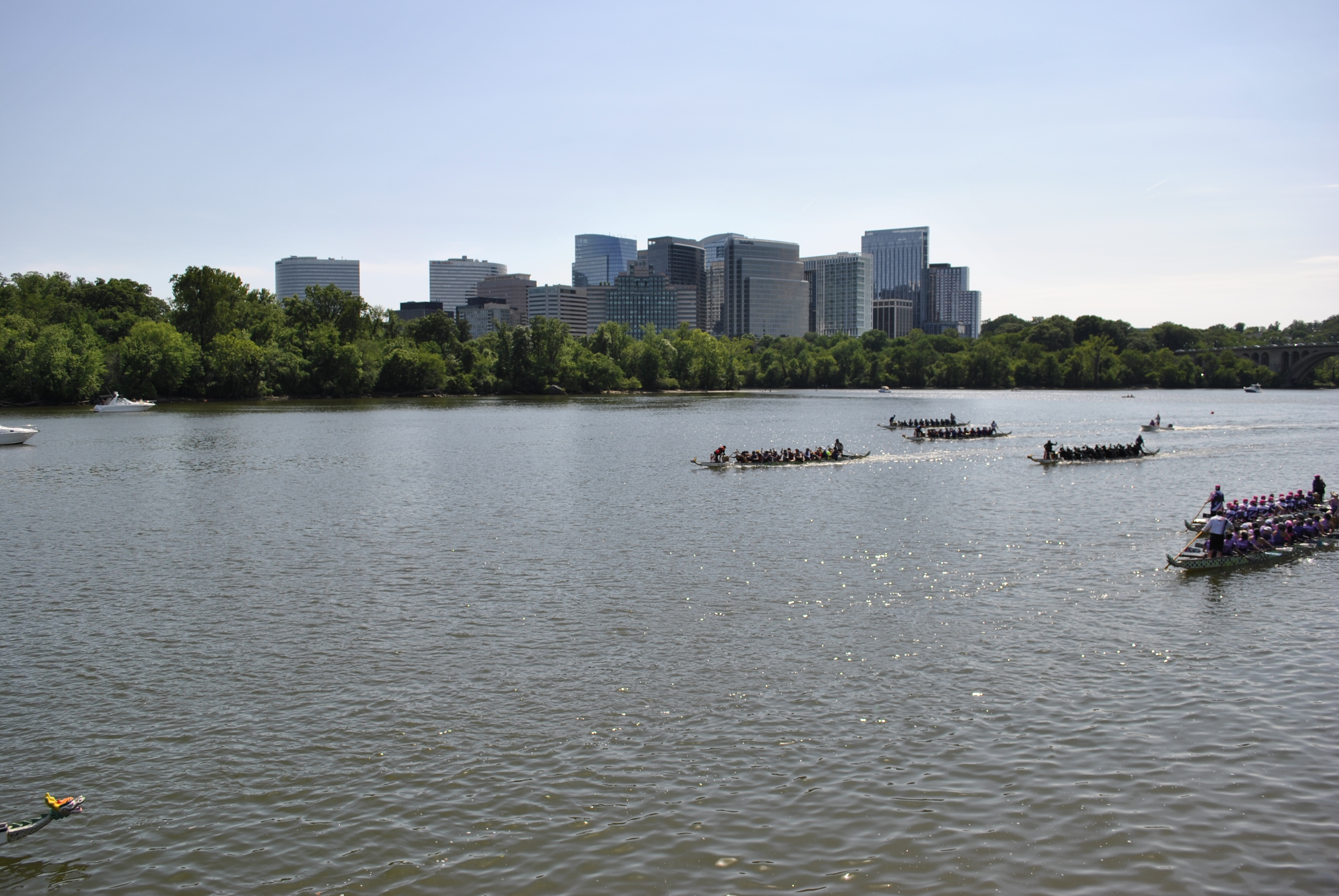 DC Dragon Boat Festival at Georgetown Waterfront Park